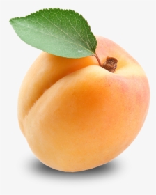 Png Image Purepng Free - Apricot Png, Transparent Png, Transparent PNG
