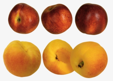 Peach, HD Png Download, Transparent PNG
