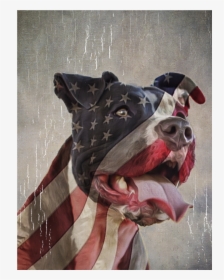 La Maxpa Printed Building Men T Shirt Patriotic Paw - Americas Dog The Pitbull, HD Png Download, Transparent PNG
