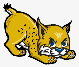 Uc Merced Golden Bobcats Men S Basketball Clip Art - Bobcat Clipart, HD Png Download, Transparent PNG