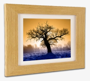 Real Wood Picture Framing At Hayman Creative Nottingham - Picture Frame, HD Png Download, Transparent PNG