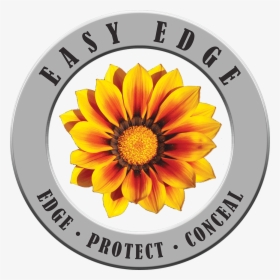 Easy Edge - Flowering Plants Anthophyta, HD Png Download, Transparent PNG