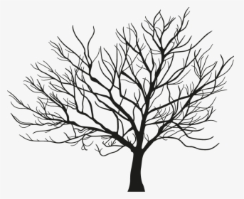 Tree Branch Winter - Vector Maple Tree Silhouette Winter, HD Png Download, Transparent PNG