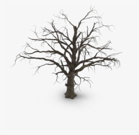 Spooky Tree Png Hd - Old Dead Tree Png, Transparent Png, Transparent PNG