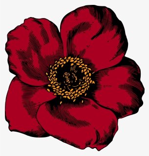 Plant,flower,rose Order - Flower Art Red Color, HD Png Download, Transparent PNG