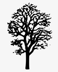 Maple Tree Clip Arts - Tree Clipart Black And White Transparent, HD Png Download, Transparent PNG