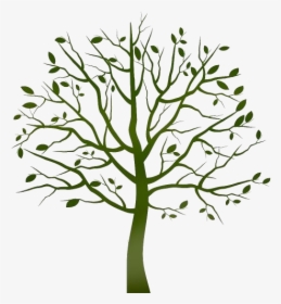 Tree Clearing Png Transparent Images - Tree Clipart Transparent Background, Png Download, Transparent PNG