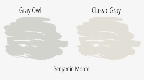Gray Owl Next To Classic Gray Paint Swatch From Benjamin - White Paint Swatch Png, Transparent Png, Transparent PNG
