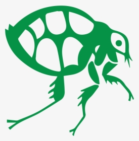 Frog, HD Png Download, Transparent PNG