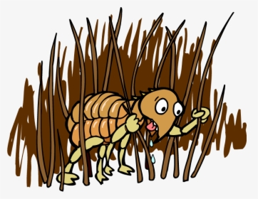 Fleas - Flea Transparent Cartoon, HD Png Download, Transparent PNG