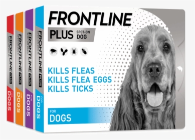 Frontline Plus Dog, HD Png Download, Transparent PNG