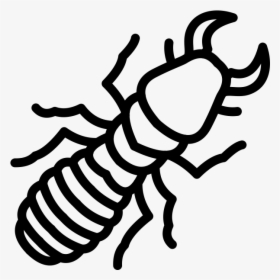 Termites Control - Illustration, HD Png Download, Transparent PNG