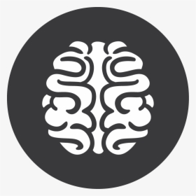 Oval - Brain Free Icon Png, Transparent Png, Transparent PNG