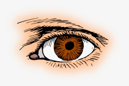 Human Eye Png - Eye Clip Art, Transparent Png, Transparent PNG