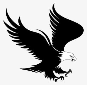 Bald Eagle Logo Clip Art - Eagle Vector, HD Png Download, Transparent PNG