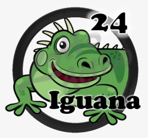 24 Iguana - Heart Florida, HD Png Download, Transparent PNG