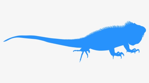 Iguana Silhouette, HD Png Download, Transparent PNG