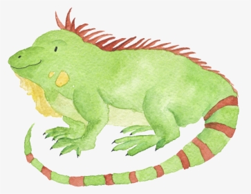 Watercolor Hand Drawn Animal Iguana Illustration , - Drawing, HD Png Download, Transparent PNG
