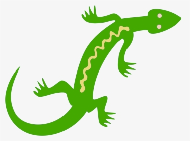 Newt Clipart Iguana - Lizard Clipart, HD Png Download, Transparent PNG