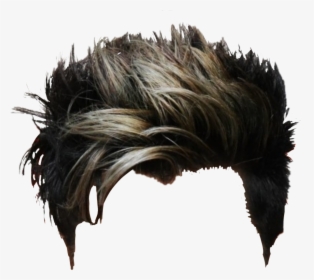 New Hairstyles For Men 2014 Round Face, HD Png Download, Transparent PNG