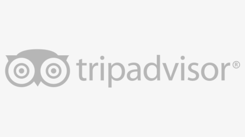 Tripadvisor Logo Png - Tripadvisor Logo White Png, Transparent Png, Transparent PNG