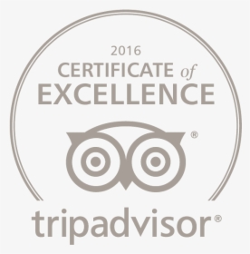Trip Advisor Logo Certificate Of Excellence Png - 2017 Certificate Of Excellence Tripadvisor Png White, Transparent Png, Transparent PNG
