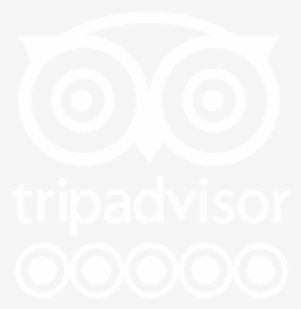 Tripadvisor Llc, HD Png Download, Transparent PNG