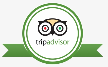 Reviews Witourist - Tripadvisor Png, Transparent Png, Transparent PNG
