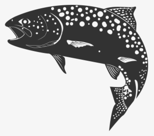 Whale, HD Png Download, Transparent PNG