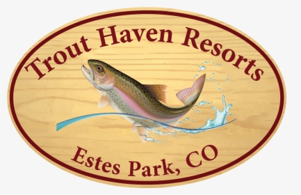 Trout , Transparent Cartoons - Trout Haven Resorts, HD Png Download, Transparent PNG