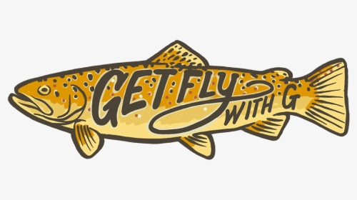 Get Fly With G Brown Trout - Trout, HD Png Download, Transparent PNG