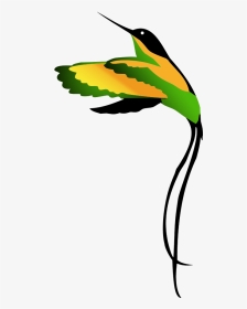 Jamaican National Bird Clipart Drawing - Drawing Jamaican National Bird, HD Png Download, Transparent PNG