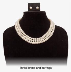 3 Row Pearl Necklace - Pearl, HD Png Download, Transparent PNG