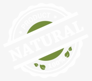 Picture - Label, HD Png Download, Transparent PNG