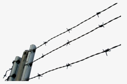 Barbed Wire Fence Clip, HD Png Download, Transparent PNG