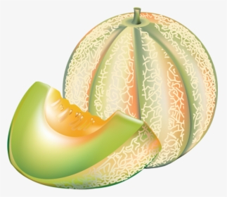 Forgetmenot - Melons - Clipart Of Melon, HD Png Download , Transparent Png  Image - PNGitem