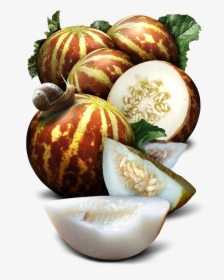 Tigger Melon Seeds For Planting   Class Lazyload Lazyload - Natural Foods, HD Png Download, Transparent PNG