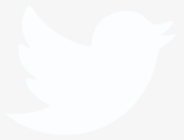 Twitter Products, HD Png Download, Transparent PNG