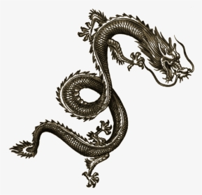 Wei Shen Tatt Dragon Tattoo Arm, Chinese Dragon Tattoos, - Wei Shen Sleeping Dogs Tattoos, HD Png Download, Transparent PNG
