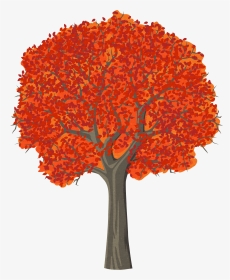 Transparent Fall Tree Clipart - Red Maple Tree Drawing, HD Png Download, Transparent PNG