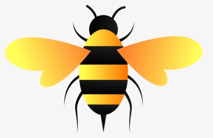 Transparent Bee Vector Png, Png Download, Transparent PNG