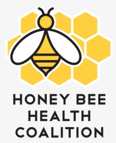 Honey Bing Images Logos - Bee Honey Logo Png, Transparent Png, Transparent PNG