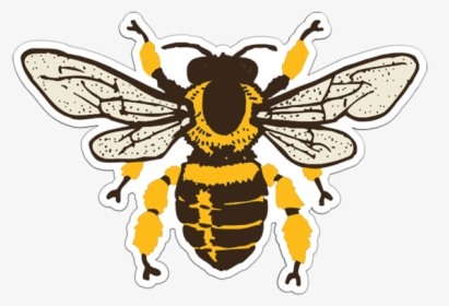 Honey Bee Patch - Clip Art Vintage Bee, HD Png Download, Transparent PNG