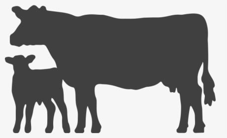 Black Angus Bull Silhouette At Getdrawings - Silhouette Cattle Clipart, HD Png Download, Transparent PNG