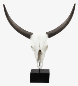 Cow Skull Png - Cattle, Transparent Png, Transparent PNG