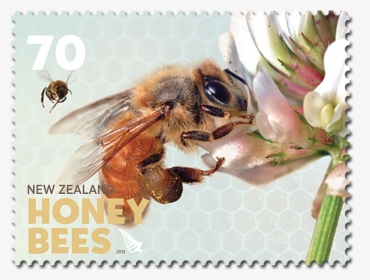 70c-stamp - Bee Postage Stamps, HD Png Download, Transparent PNG