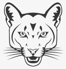 Cougar, Cougar Head, Mountain Lion, Lion, Wildcat, - Mountain Lion In Black And White, HD Png Download, Transparent PNG