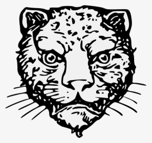 Illustration, HD Png Download, Transparent PNG