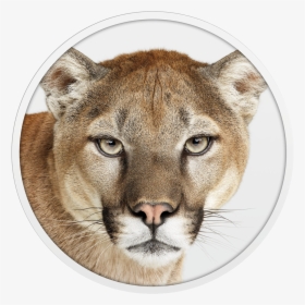 Mac Os Mountain Lion, HD Png Download, Transparent PNG