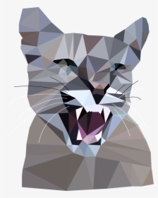 Picture - Cat, HD Png Download, Transparent PNG